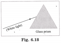 Maharashtra Board Class 10 Science Solutions Part 1 Chapter 6 Refraction of Light 23
