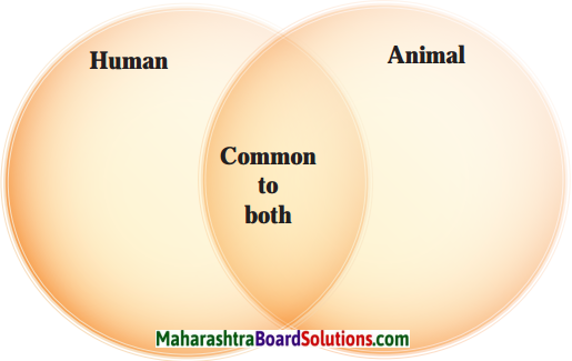 Maharashtra Board Class 10 English Solutions Unit 2.1 Animals 1