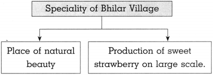 Maharashtra Board Class 10 History Solutions Chapter 8 Tourism and History 4