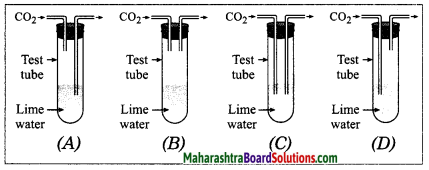 Maharashtra Board Class 10 Science Solutions Part 1 Chapter 3 Chemical Reactions and Equations 17