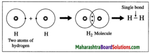 Maharashtra Board Class 10 Science Solutions Part 1 Chapter 9 Carbon Compounds 9