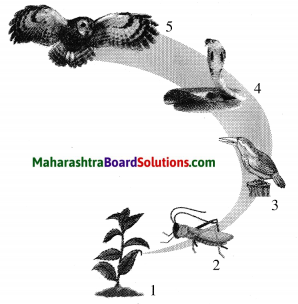 Maharashtra Board Class 10 Science Solutions Part 2 Chapter 4 Environmental management 12
