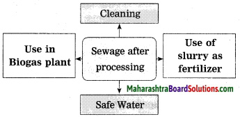 Maharashtra Board Class 10 Science Solutions Part 2 Chapter 7 Introduction to Microbiology 2