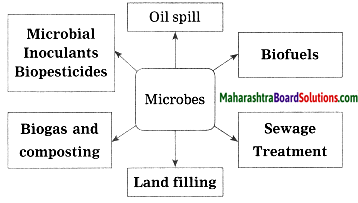 Maharashtra Board Class 10 Science Solutions Part 2 Chapter 7 Introduction to Microbiology 6