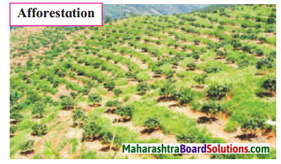 Maharashtra Board Class 7 Geography Solutions Chapter 7 Soils 1