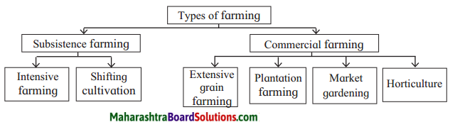 Maharashtra Board Class 7 Geography Solutions Chapter 9 Agriculture 1