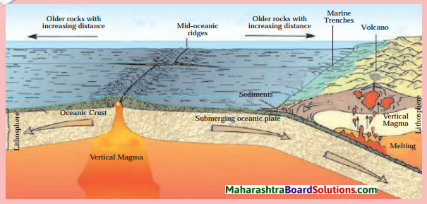 Maharashtra Board Class 8 Geography Solutions Chapter 4 Structure of Ocean Floor 4