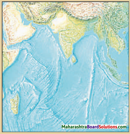 Maharashtra Board Class 8 Geography Solutions Chapter 4 Structure of Ocean Floor 5