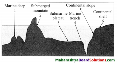 Maharashtra Board Class 8 Geography Solutions Chapter 4 Structure of Ocean Floor 7