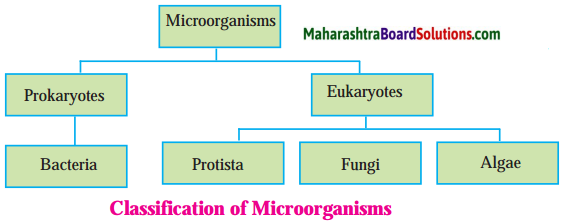 Maharashtra Board Class 8 Science Solutions Chapter 1 Living World and Classification of Microbes 7