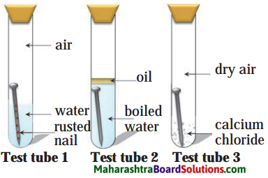 Maharashtra Board Class 8 Science Solutions Chapter 7 Metals and Nonmetals 2