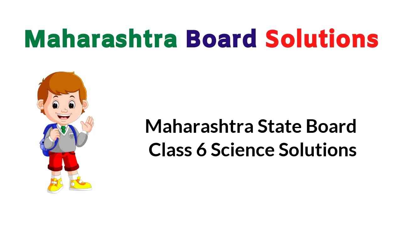 Maharashtra State Board Class 6 Science Solutions