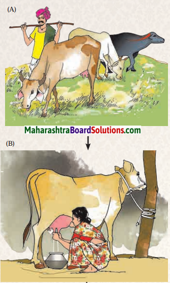 Maharashtra Board Class 6 Geography Solutions Chapter 10 Human Occupations 4