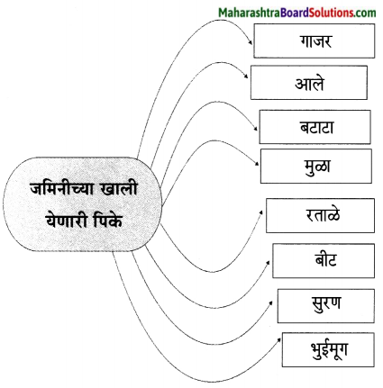 Maharashtra Board Class 6 Marathi Solutions Chapter 13 मोठी आई 5