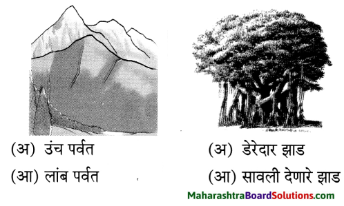 Maharashtra Board Class 6 Marathi Solutions Chapter 8 कुंदाचे साहस 10