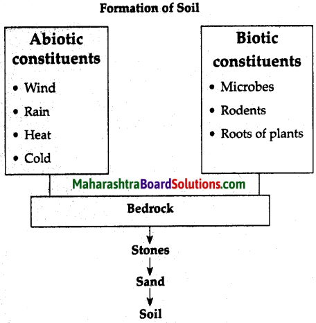 Maharashtra Board Class 6 Science Solutions Chapter 1 Natural Resources - Air, Water and Land 1