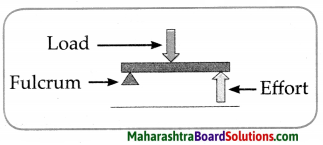 Maharashtra Board Class 6 Science Solutions Chapter 12 Simple Machines 7