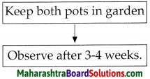 Maharashtra Board Class 7 Science Solutions Chapter 11 Cell Structure and Micro-organisms 1