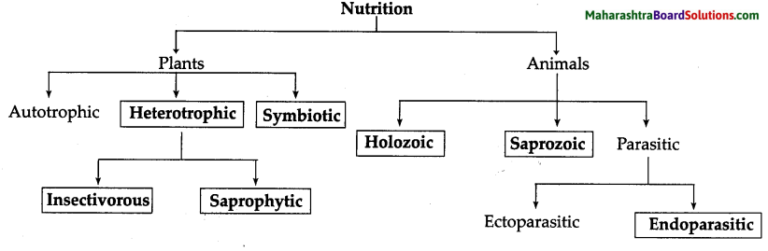 chapter-wise-ncert-class-7-science-solutions-shaalaa