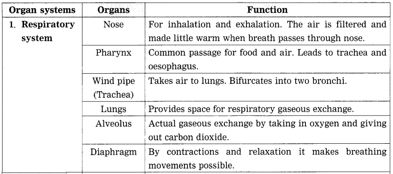 Maharashtra Board Class 8 Science Solutions Chapter 11 Human Body and Organ System 2