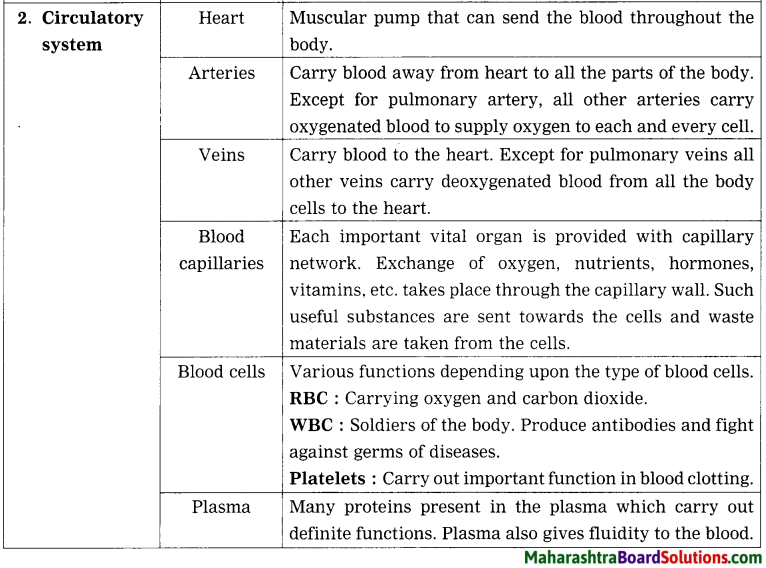 Maharashtra Board Class 8 Science Solutions Chapter 11 Human Body and Organ System 3