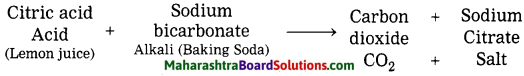 Maharashtra Board Class 8 Science Solutions Chapter 13 Chemical Change and Chemical Bond 4