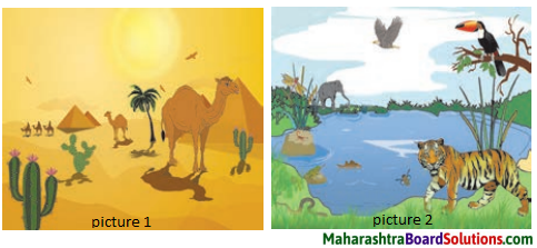 Maharashtra Board Class 8 Science Solutions Chapter 18 Ecosystems 1
