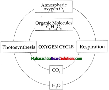 Maharashtra Board Class 9 Science Solutions Chapter 7 Energy Flow in an Ecosystem 14