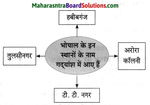 Maharashtra Board Class 10 Hindi Solutions Chapter 3 सफर का साथी और सिरदर्द 15