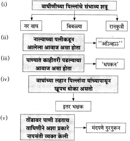 Headstream Meaning In Marathi - मराठी अर्थ