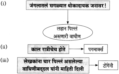 Maharashtra Board Class 10 Marathi Aksharbharati Solutions Chapter 11 जंगल डायरी 4