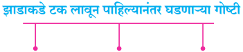 Maharashtra Board Class 10 Marathi Aksharbharati Solutions Chapter 13 हिरवंगार झाडासारखं 5