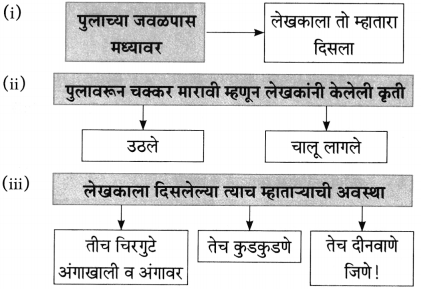 Maharashtra Board Class 10 Marathi Aksharbharati Solutions Chapter 3 शाल 17