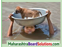 Maharashtra Board Class 10 My English Coursebook Solutions Chapter 1.2 An Encounter of a Special Kind 1.1