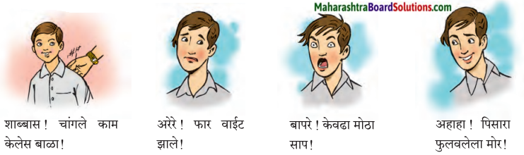 Maharashtra Board Class 7 Marathi Solutions Chapter 10 पंडिता रमाबाई 3