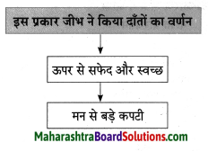 Maharashtra Board Class 8 Hindi Solutions Chapter 2 दो लघुकथाएँ 16