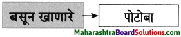 Maharashtra Board Class 8 Marathi Solutions Chapter 4 आपण सारे एक 18