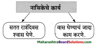 Maharashtra Board Class 8 Marathi Solutions Chapter 4 आपण सारे एक 21