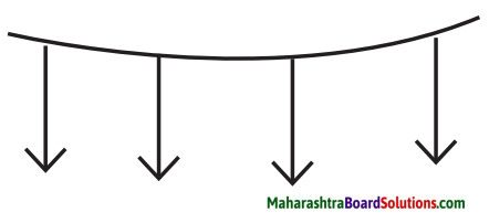 Maharashtra Board Class 9 Hindi Lokbharti Solutions Chapter 2 बिल्ली का बिलुंगड़ा 2