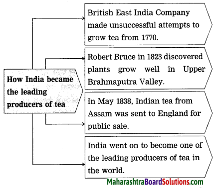 Maharashtra Board Class 9 My English Coursebook Solutions Chapter 1.4 The Story of Tea 7