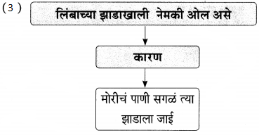 Maharashtra Board Class 9 Marathi Aksharbharati Solutions Chapter 14 ते जीवनदायी झाड 9