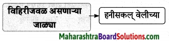 Maharashtra Board Class 9 Marathi Aksharbharati Solutions Chapter 16 शब्दांचा खेळ 20
