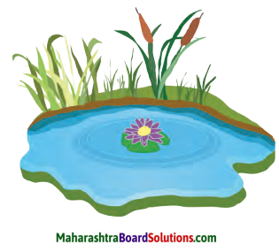 Maharashtra Board Class 5 English Solutions Chapter 17 On the Water 1