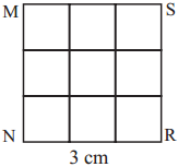 Maharashtra Board Class 5 Maths Solutions Chapter 12 Perimeter and Area Problem Set 49 5