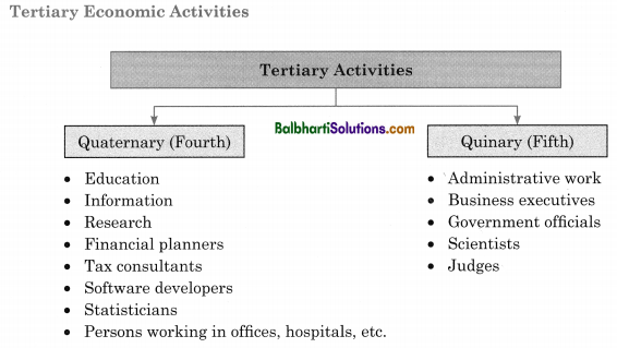 Maharashtra State Board Class 12 Geography Notes Chapter 6 Tertiary Economic Activities 3