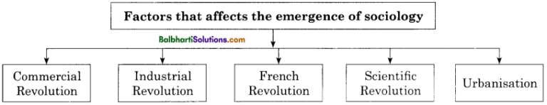 Maharashtra Board Class 11 Sociology Notes Chapter 1 Introduction to ...