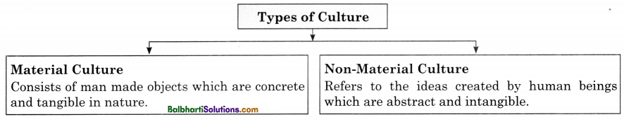Maharashtra Board Class 11 Sociology Notes Chapter 5 Culture 1