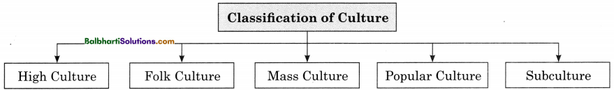 Maharashtra Board Class 11 Sociology Notes Chapter 5 Culture 2