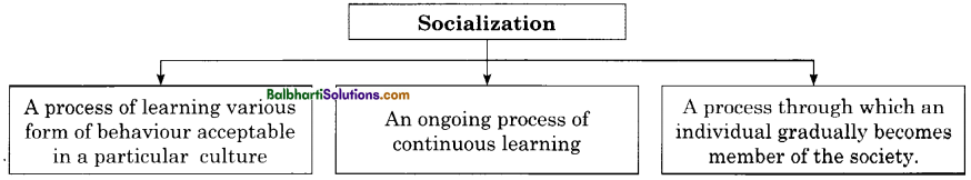 Maharashtra Board Class 11 Sociology Notes Chapter 6 Socialization 1