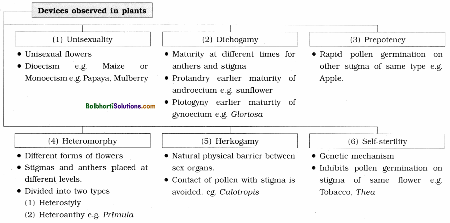 Maharashtra Board Class 12 Biology Notes Chapter 1 Reproduction in Lower and Higher Plants 7